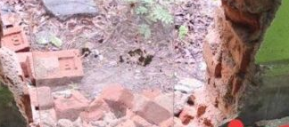 कोरबा: स्टेट बैंक में चोरी का प्रयास, दीवार तोड़कर अंदर घुसे चोर, सूचना मिलते ही मौके पर पहुंची पुलिस