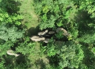 थर्मल ड्रोन कैमरे से होगी हाथियों की निगरानी, हाथी और इंसानों के बीच संघर्ष रोकने एक और पहल, देखिए वीडियो