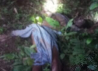 दंतैल हाथी ने ग्रामीण को पटक का मारा, एक महीने के भीतर हाथी के हमले से पांच लोगो की मौत, देखिए वीडियो