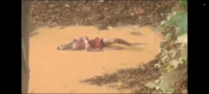 Screenshot_2023-09-16-14-23-25-90_f9ee0578fe1cc94de7482bd41accb329