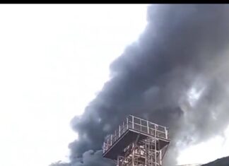 कोरबा ब्रेकिंग,सीएसईबी वेस्ट के सीएचपी में लगी भीषण आग, लाखो का नुकसान, अफसरों की लापरवाही