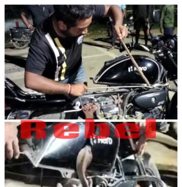 गाड़ी में सांप देखते ही खुद कर बचाई जान, जितेंद्र ने किया साप का रेस्क्यू