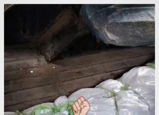 सलमा सुल्ताना के बाद अब संतोषी भी हुई प्यार में धोका का शिकार, प्रेमी ने युवती का कत्ल कर शव को जंगल मे किया दफन, आरोपी प्रेमी समेत 5 लोग गिरफ़्तरा