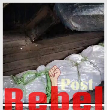 सलमा सुल्ताना के बाद अब संतोषी भी हुई प्यार में धोका का शिकार, प्रेमी ने युवती का कत्ल कर शव को जंगल मे किया दफन, आरोपी प्रेमी समेत 5 लोग गिरफ़्तरा